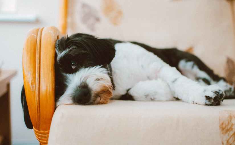 Menschen, die aus Fenstern&nbsp;starren