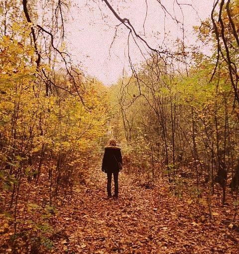 „Die Unterirdischen Seen“ – ein ganz besonderes&nbsp;Buch