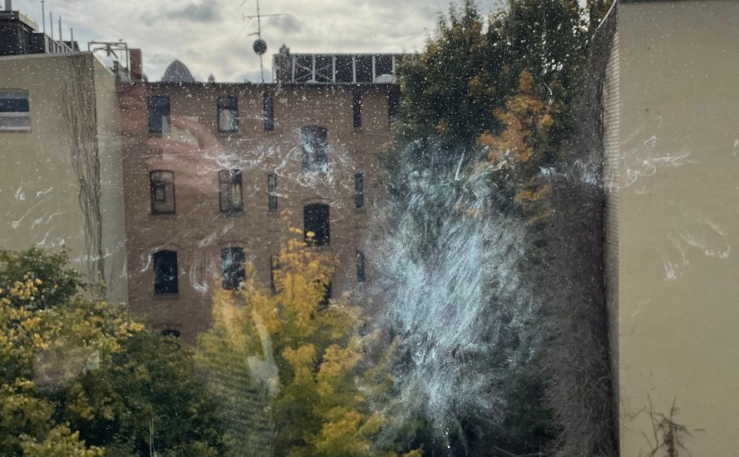 Aber wann knackt die&nbsp;Schale