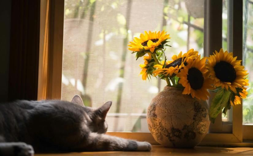 Das ist doch&nbsp;was