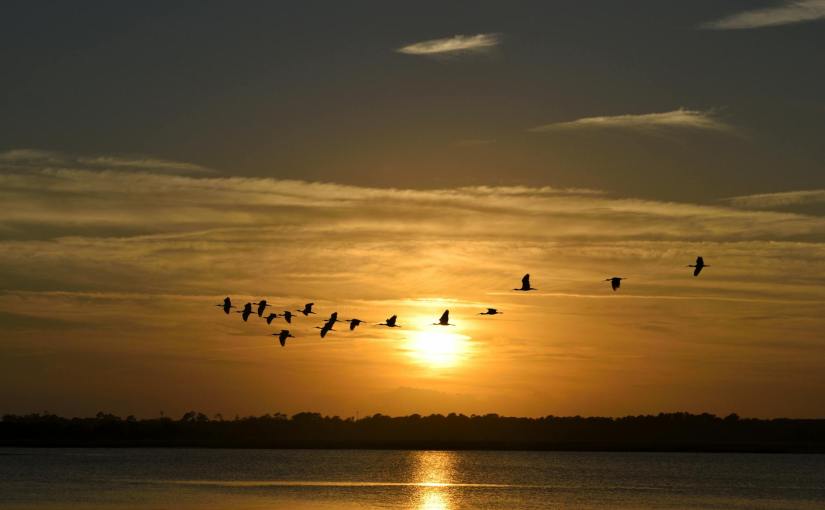 Die Wochen verfliegen