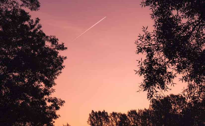 Wenn wir uns im Garten&nbsp;treffen…