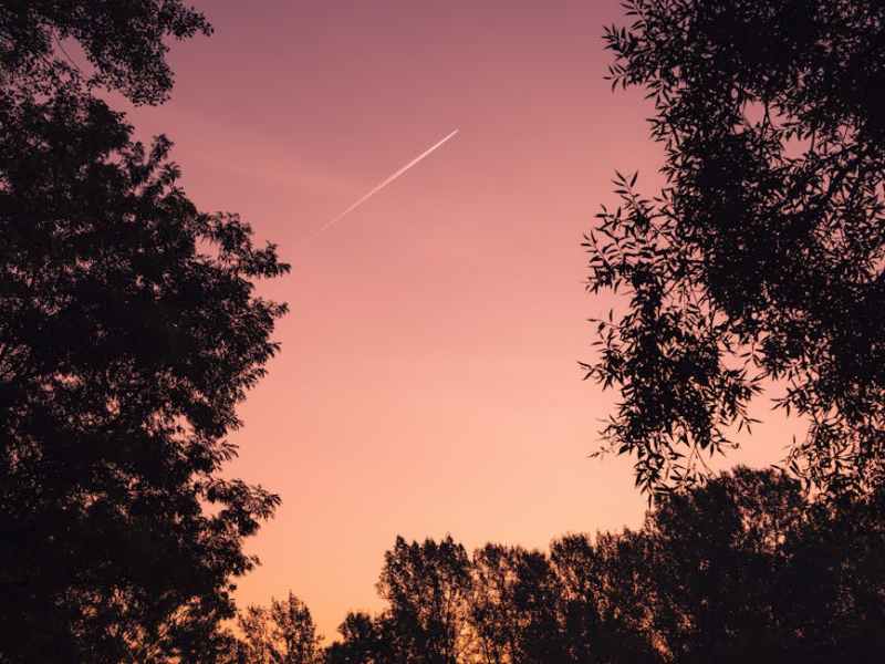 Wenn wir uns im Garten&nbsp;treffen…