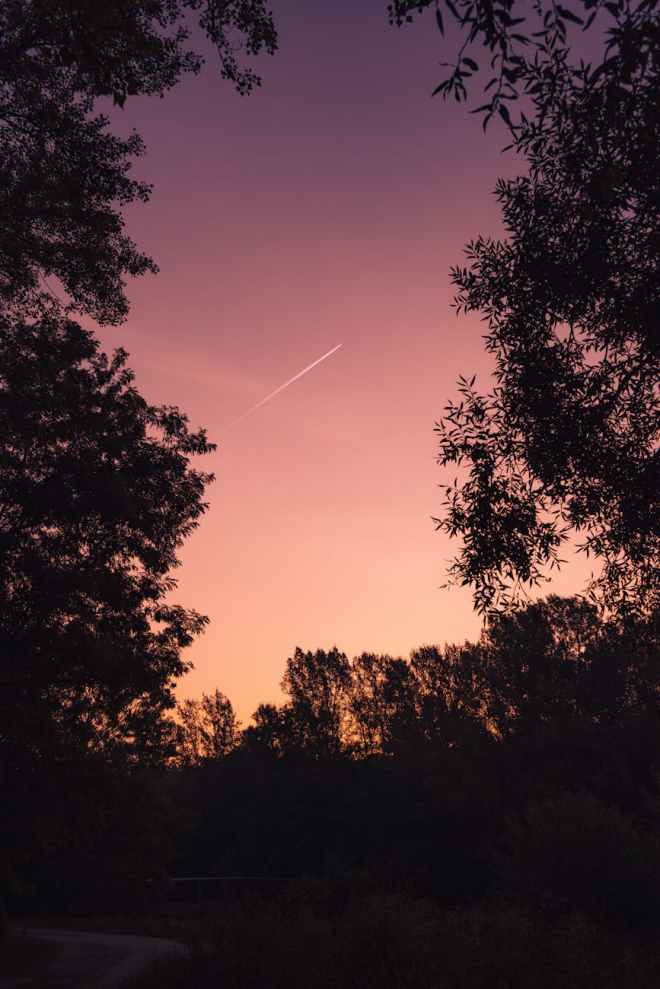 Wenn wir uns im Garten&nbsp;treffen…