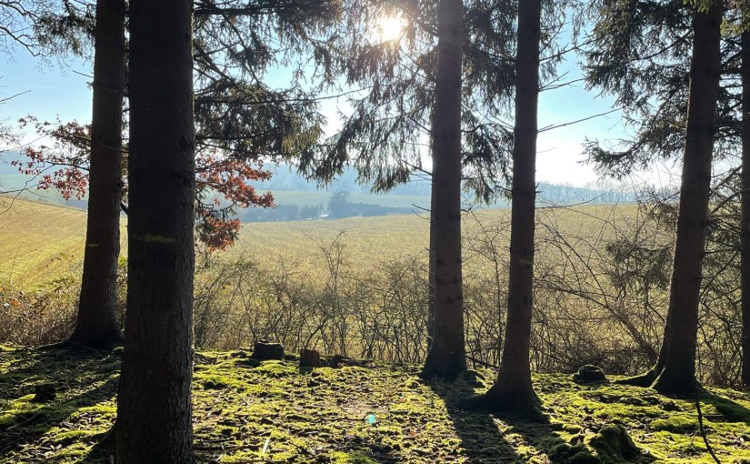Wenn die Stille so groß&nbsp;ist