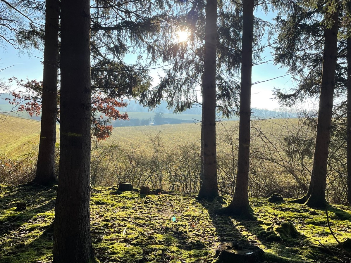 Wenn die Stille so groß&nbsp;ist