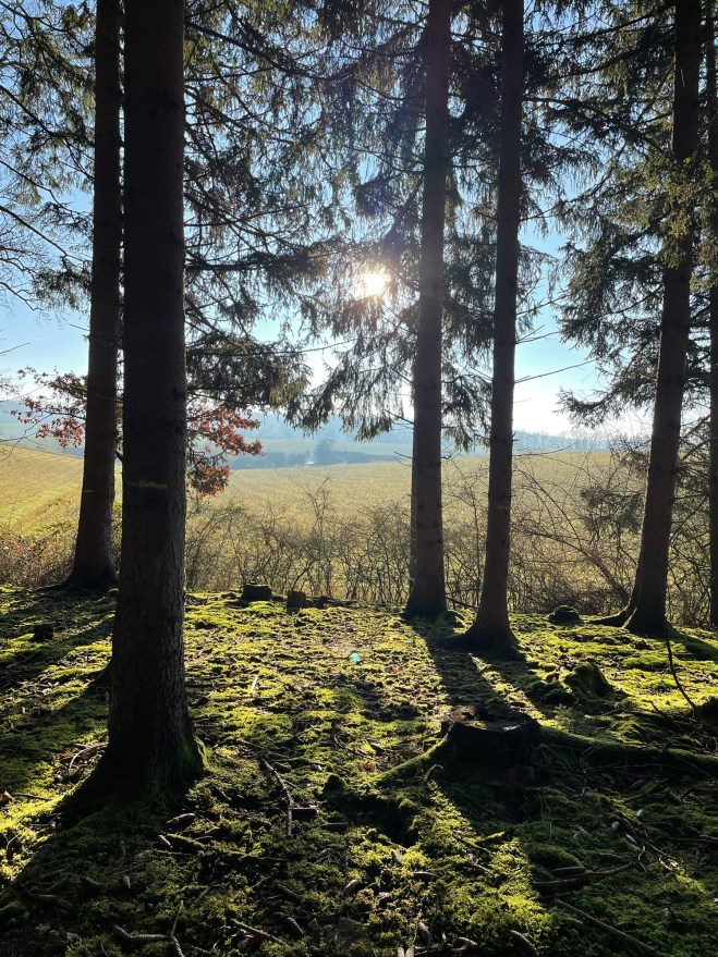 Wenn die Stille so groß&nbsp;ist