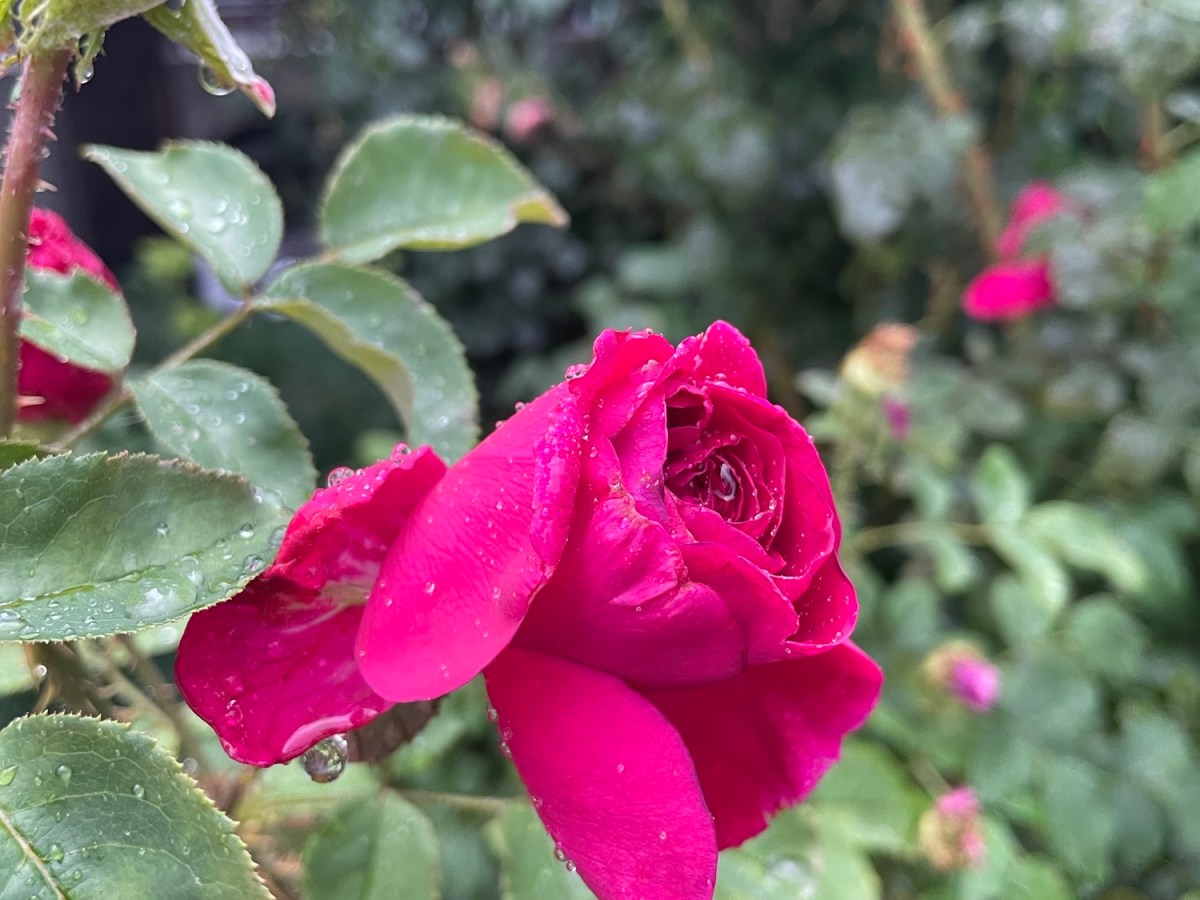 Der Beweis neben&nbsp;mir